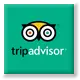Trip advisor